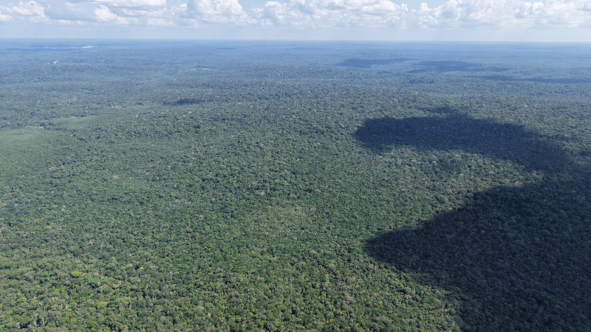 4,472 hectare holding near Manaus