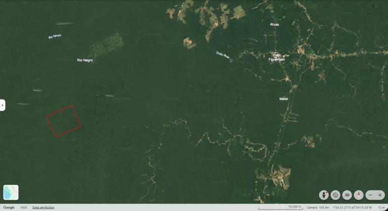 How Amazon Land Title Is Verified in Brazil