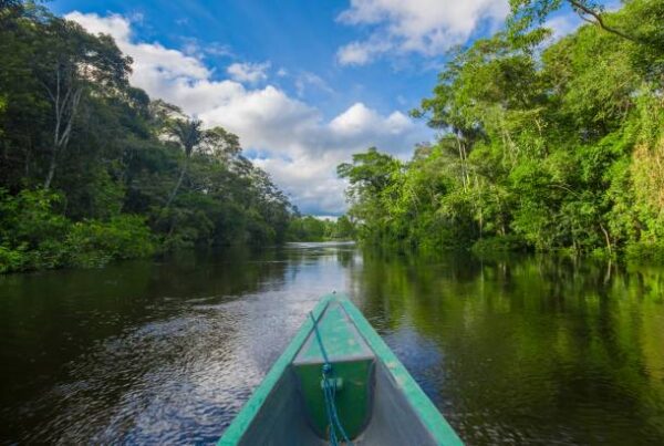 Carbon Credits and Amazon Land: What Buyers Should Know