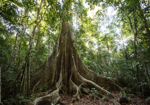 AdobeStock_481256183_Preview