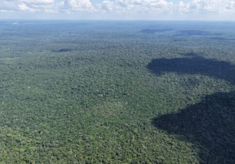 Amazon Rainforest